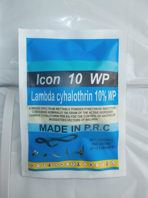 ICON-4