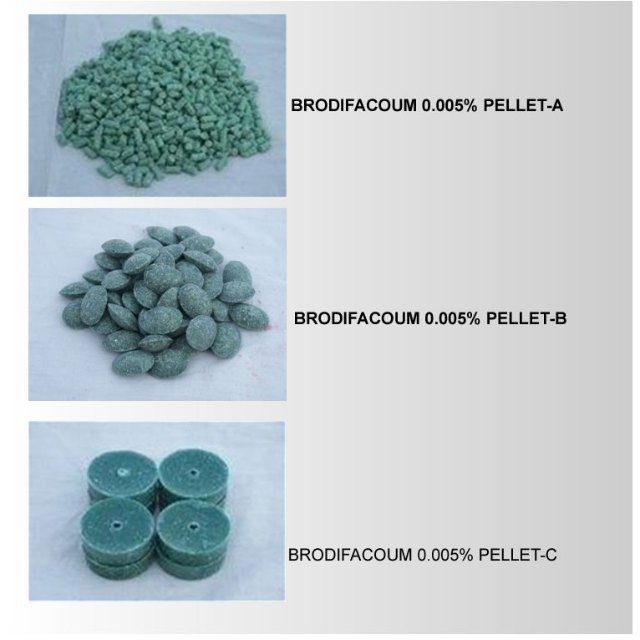 BRODIFACOM-2